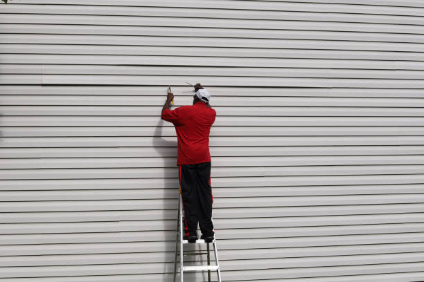 Best Custom Siding Design  in Johnson City, TN