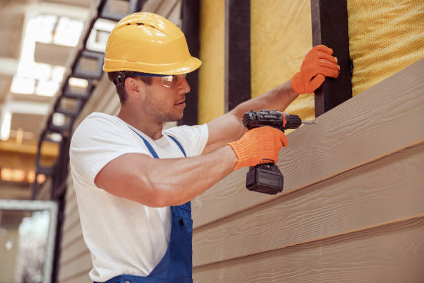 Best Custom Trim and Detailing for Siding  in Johnson City, TN