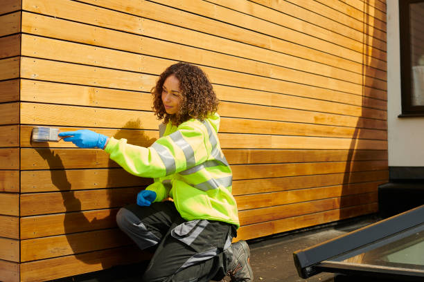 Best Siding Painting and Refinishing  in Johnson City, TN