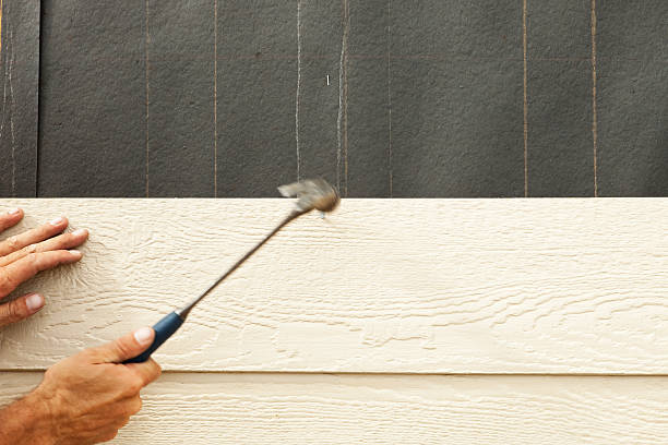 Best Fascia and Soffit Installation  in Johnson City, TN
